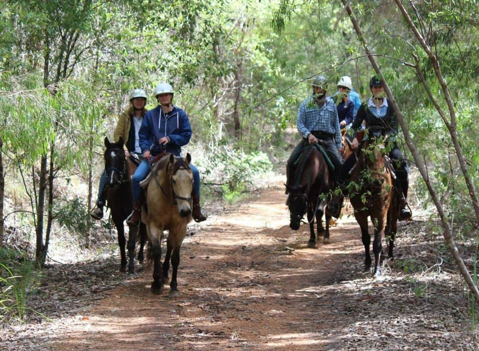 TALES OF THE TRAIL WESTERN RANCH - All You MUST Know Before You Go (2024)