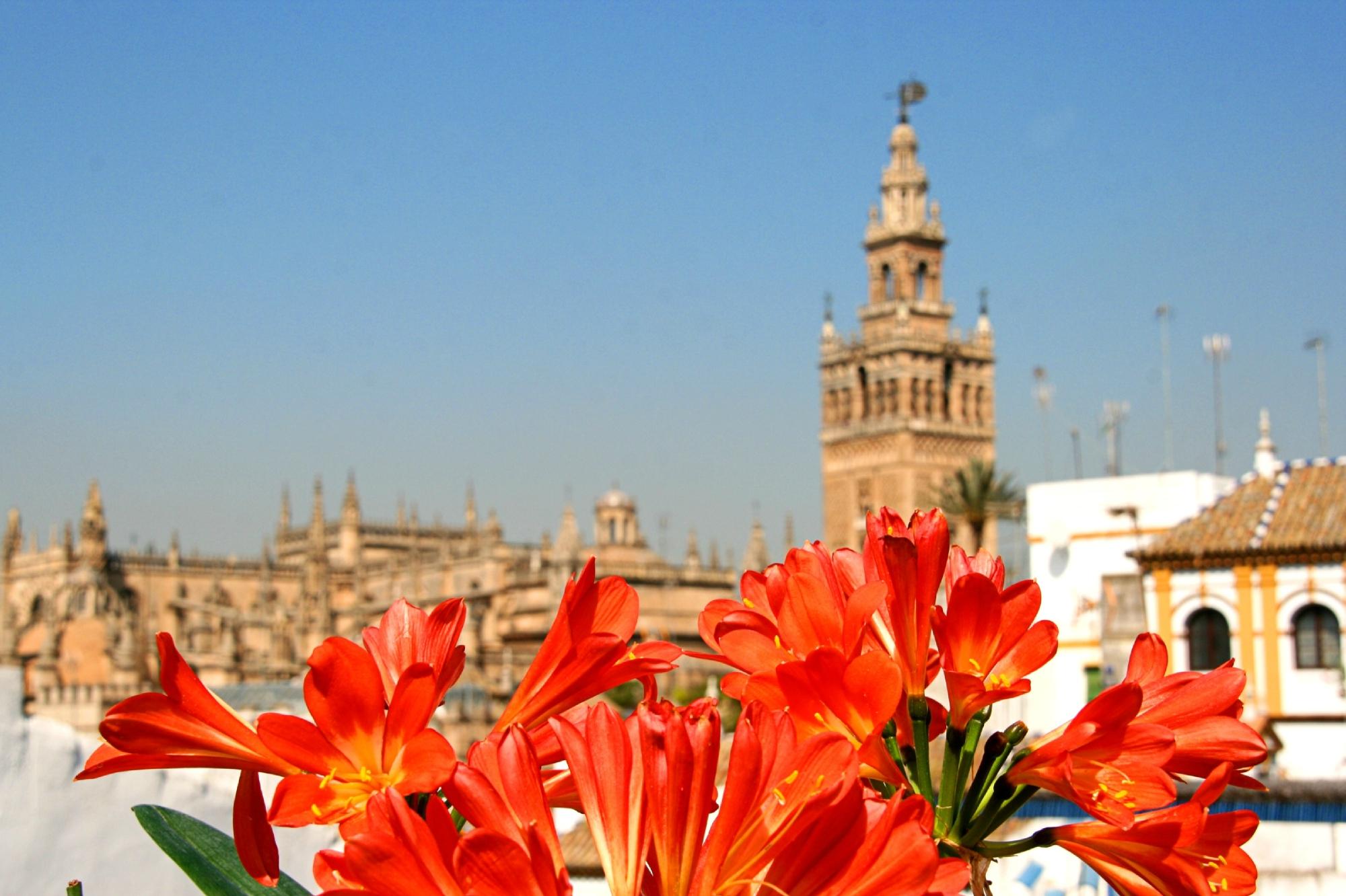 HOTEL BOUTIQUE CASAS DE SANTA CRUZ Updated 2024 Prices Seville