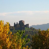 Arzignano