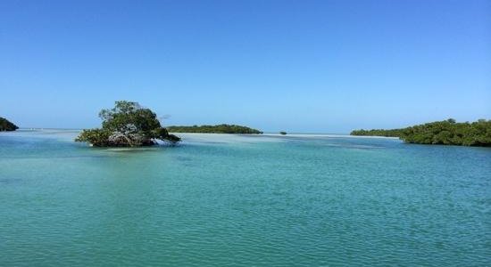 Sugarloaf Key, FL 2023: Best Places to Visit - Tripadvisor