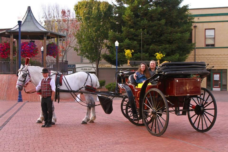 old town carriage co eureka tours