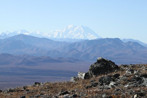 Denali National Park and Preserve review images