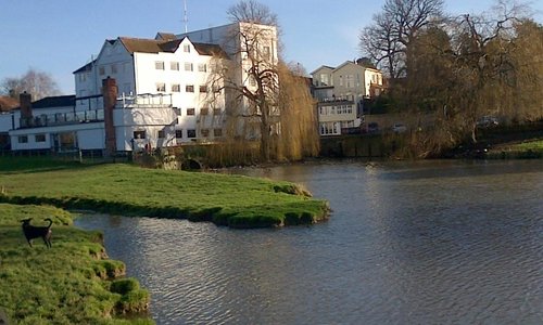 View of the hotel accross the pond