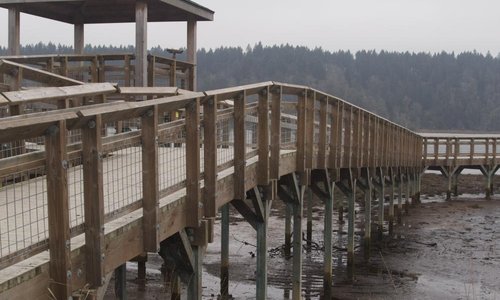 Nisqually Foot Bridge