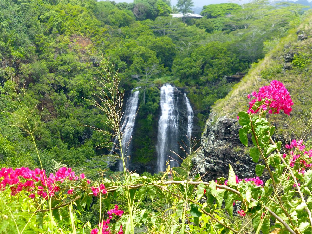 Opaekaa Falls, Кауаи: лучшие советы перед посещением - Tripadvisor