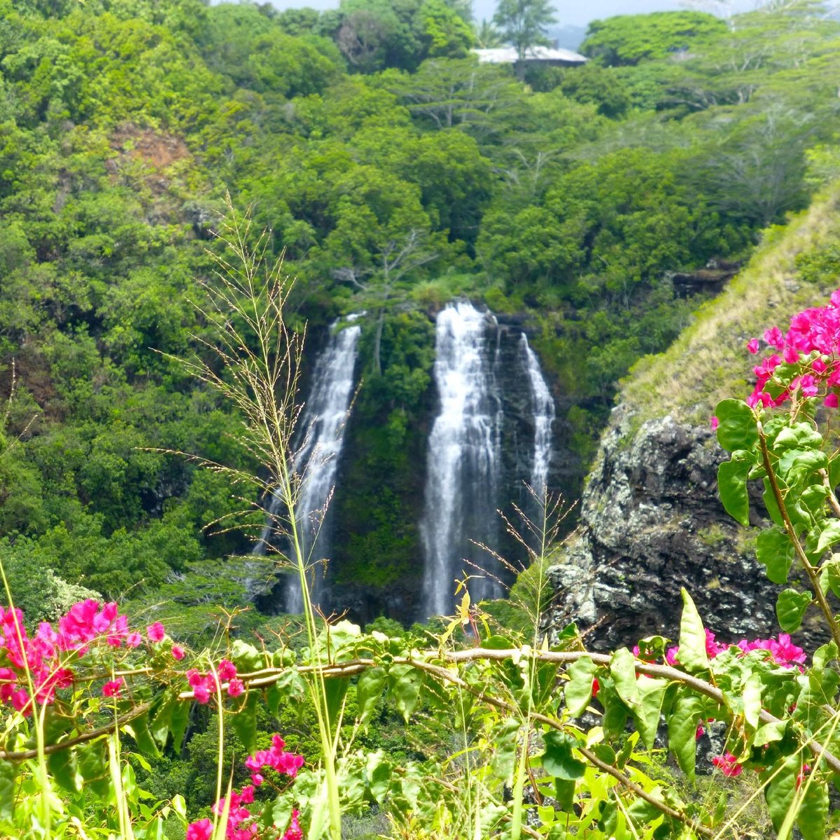 OPAEKAA FALLS (Kauai): All You Need to Know BEFORE You Go 