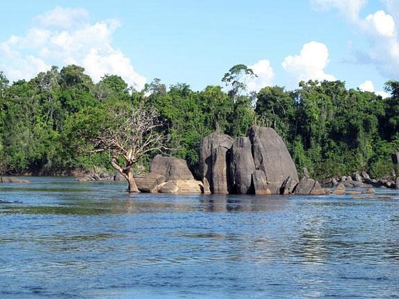 Essequibo River image