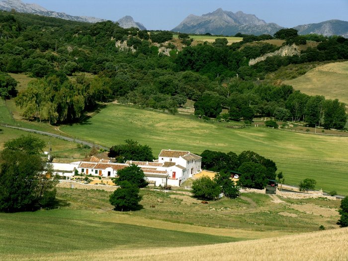 Imagen 8 de Hotel Cortijo Las Piletas