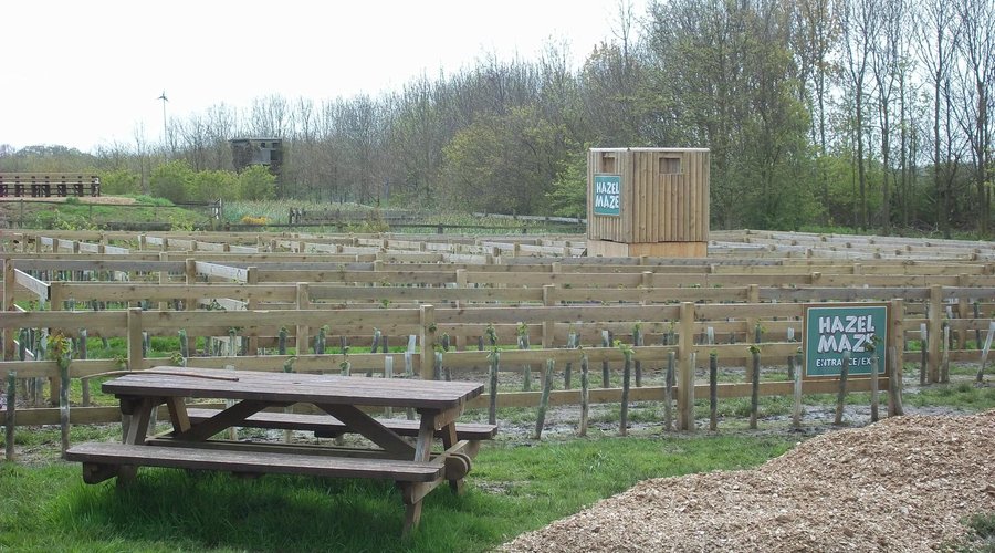You can explore the hazel maze, or sit at one of the many picnic tables