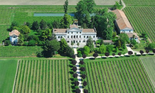 Campagna a sud di Padova Cantina La Mincana