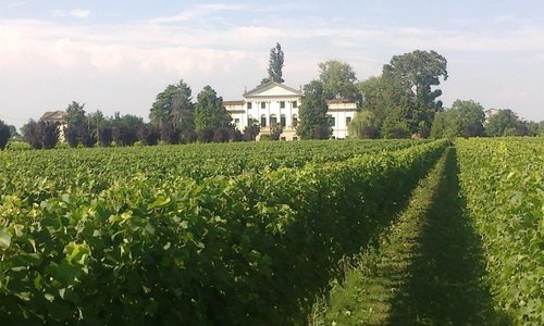 Due Carrare Villa Dolfin-Dal Martello detta La Mincana