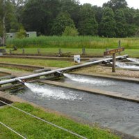 Sandwich Fish Hatchery - All You Need to Know BEFORE You Go