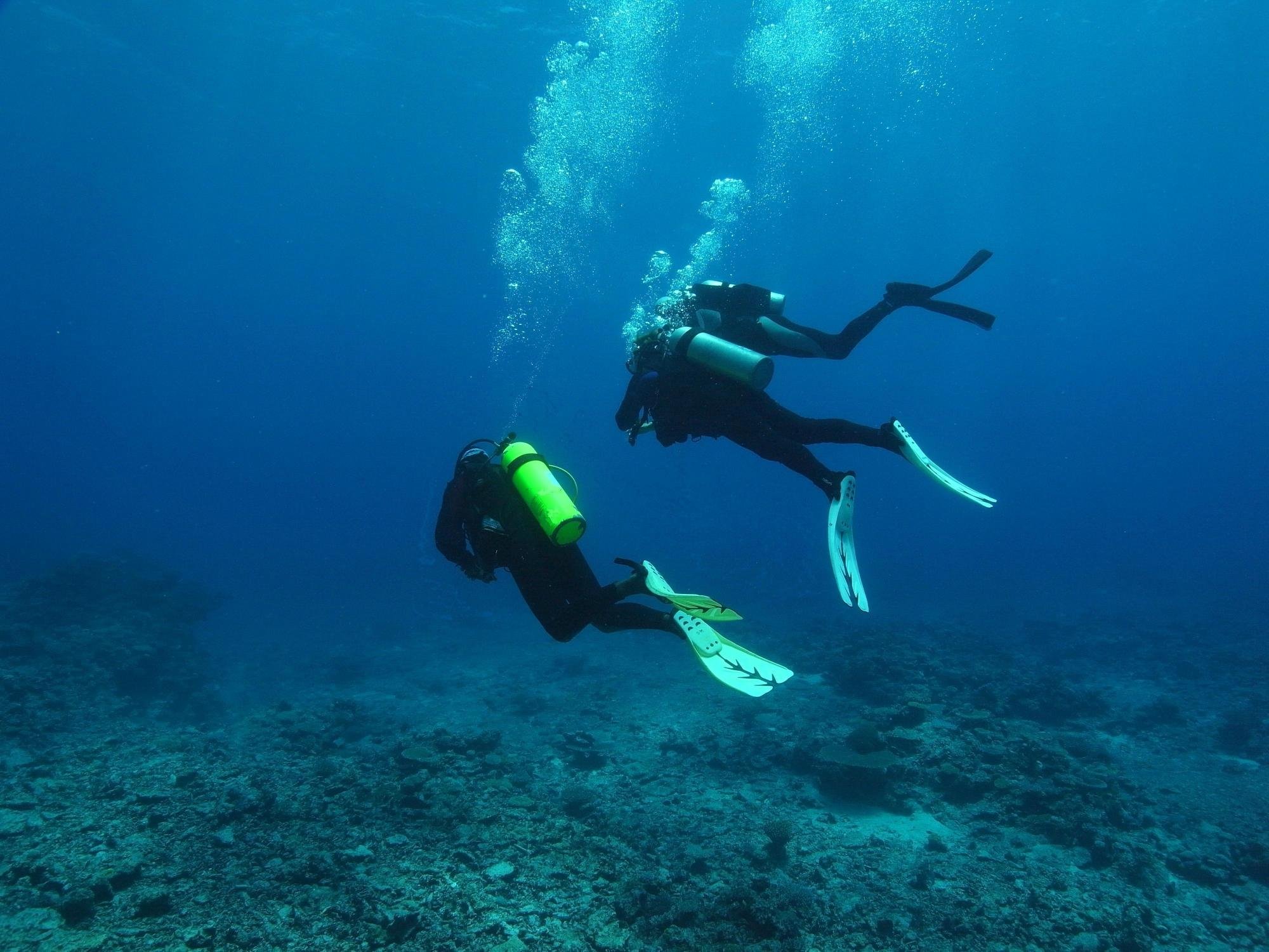 MAI DIVE - ASTROLABE REEF RESORT - Hotel Reviews (Fiji/Ono Island)