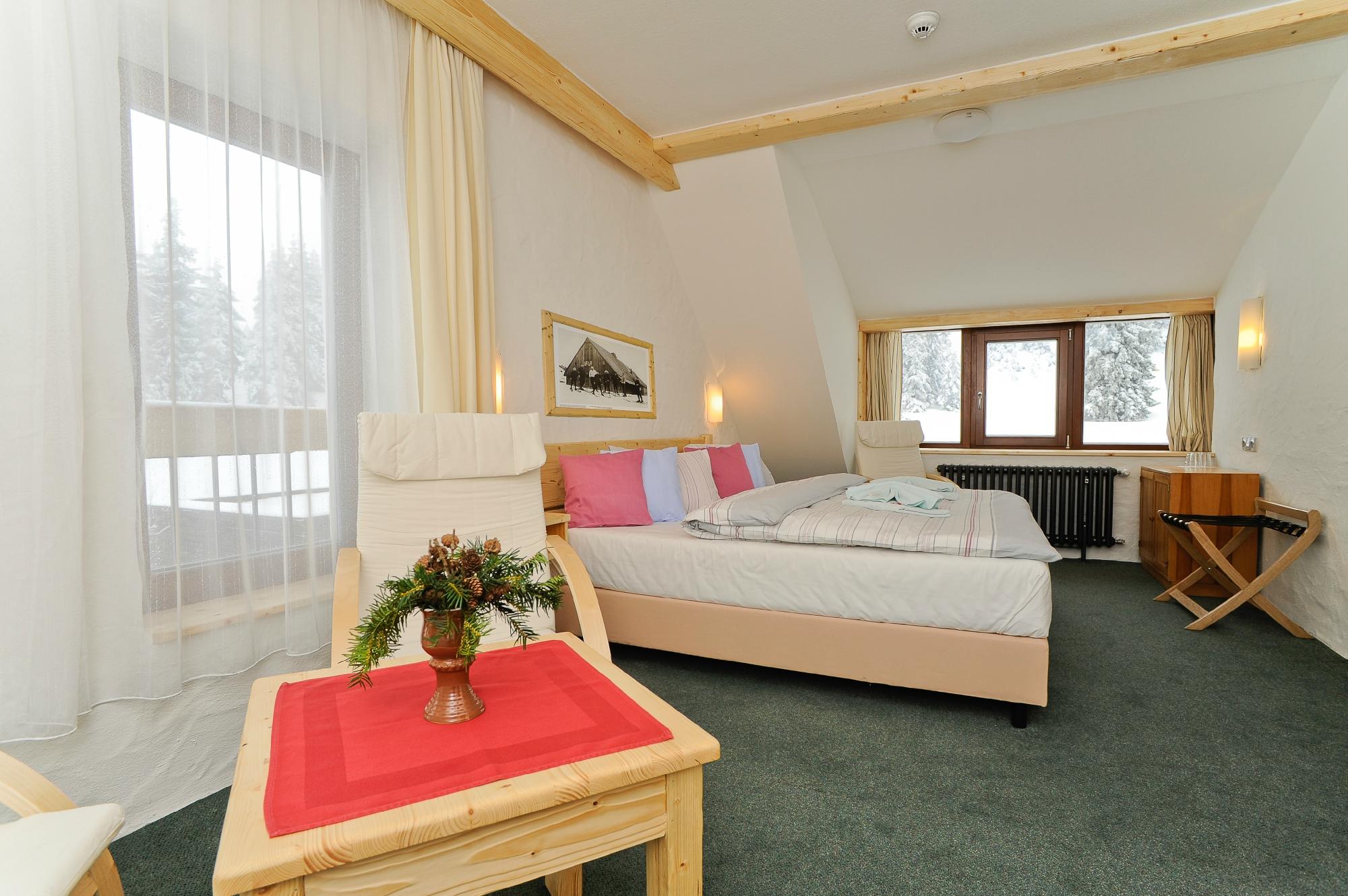 Hotel photo 35 of Resort Sv. Frantisek - Erlebachova a Josefova bouda.