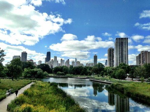 se permiten perros en grant park chicago