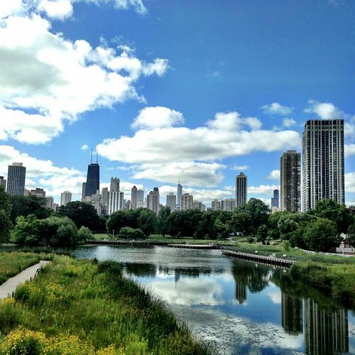 What to See During a Day Trip to Lincoln Park