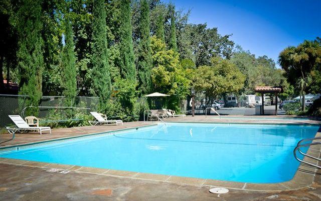 Swimming Pools