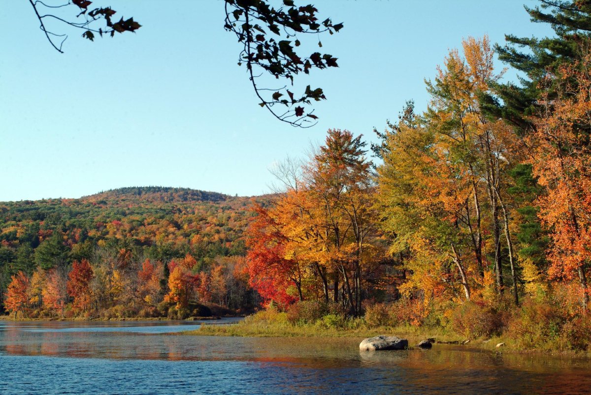 Escape To Nature’s Embrace: Discover The Hidden Gem Of Clarksburg State Park