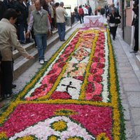 L'infiorata (Campobasso) - All You Need to Know BEFORE You Go