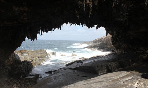 Tourisme A Ile Kangourou 21 Visiter Ile Kangourou Australie Tripadvisor Tourisme A Ile Kangourou 21 Visiter Ile Kangourou Australie Tripadvisor