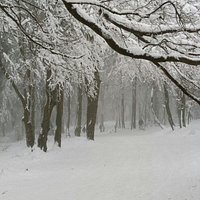 Snow snow and more snow :)