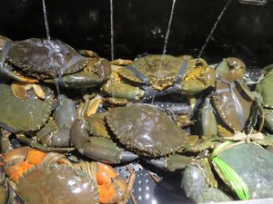 美食