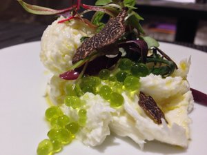 Cibo