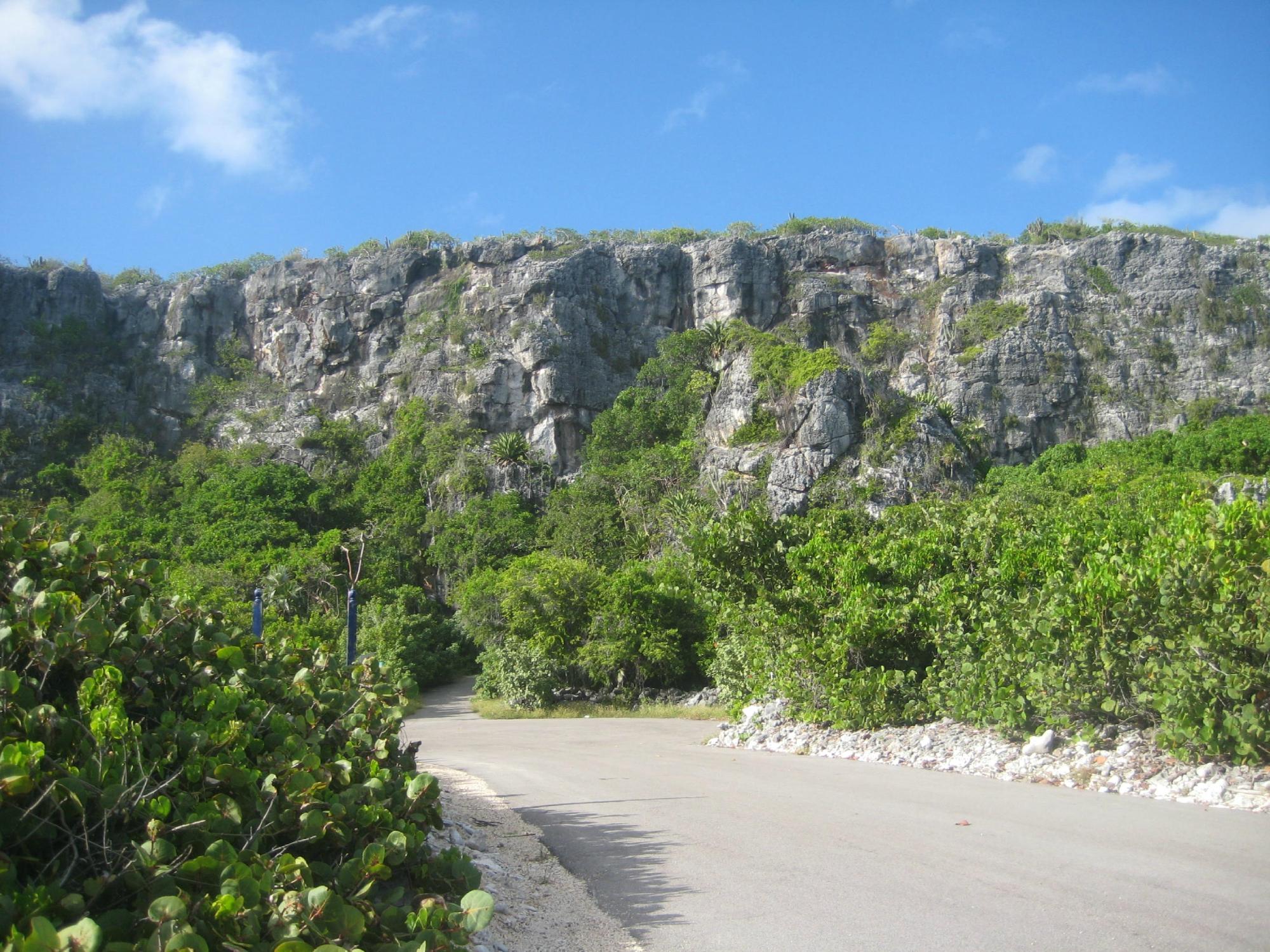 THE 15 BEST Things To Do In Cayman Brac 2024   The Bluff 