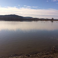Wetlands lake