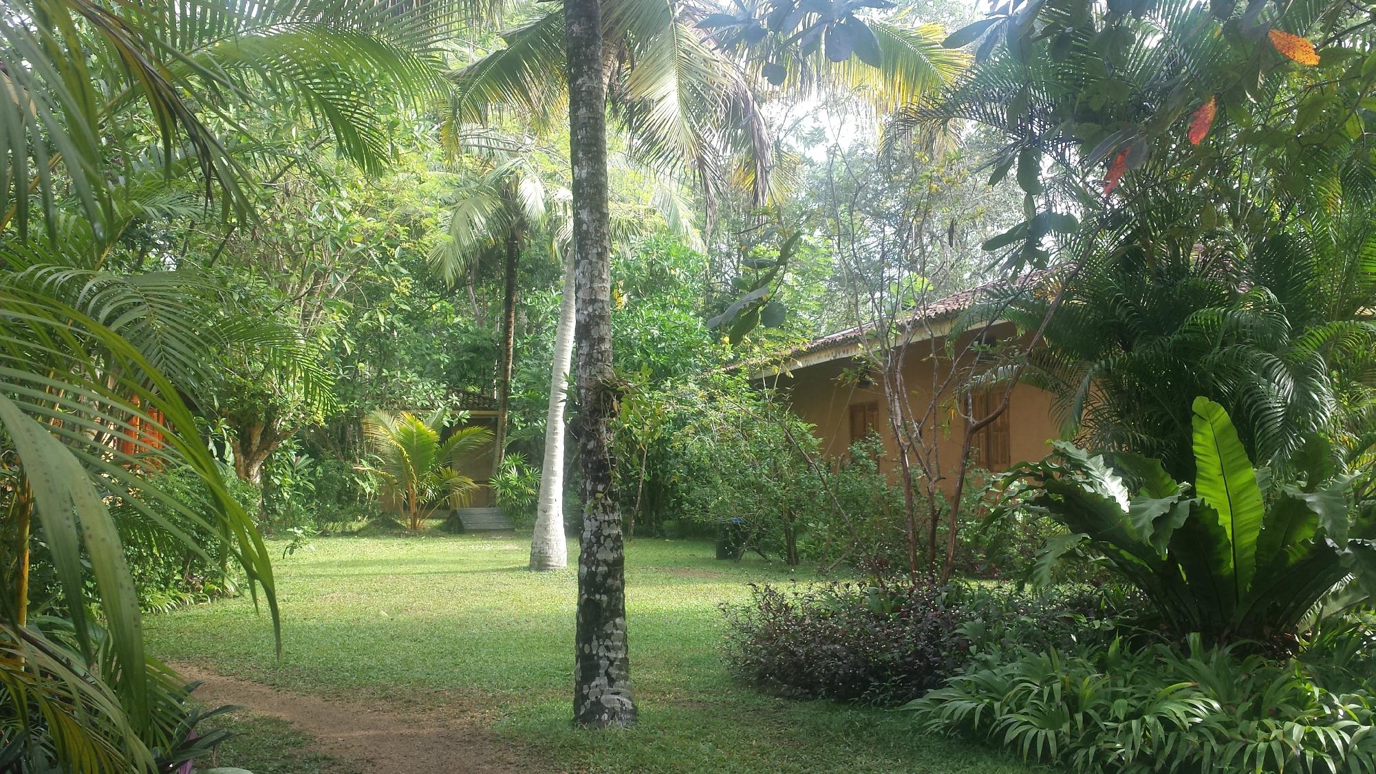 TISARA VILLAS, SRI LANKA/KOGGALA: 65 Fotos E Avaliações - Tripadvisor