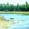What to do and see in Dinajpur, Rajshahi Division: The Best Things to do