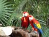 lyndylou63