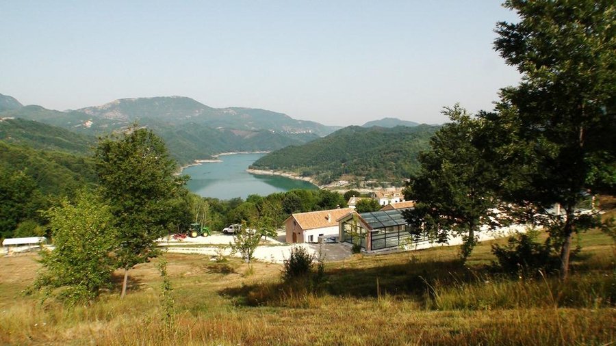 getlstd_property_photo