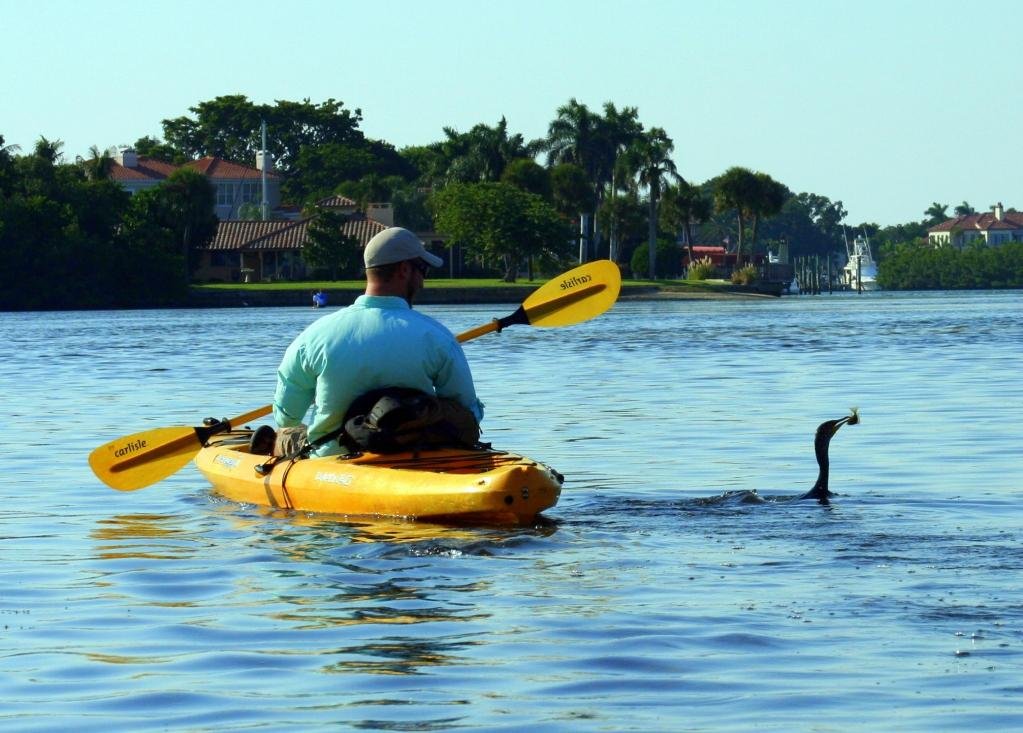 Happy Paddler Kayak Tours: Explore Serene Waters Today