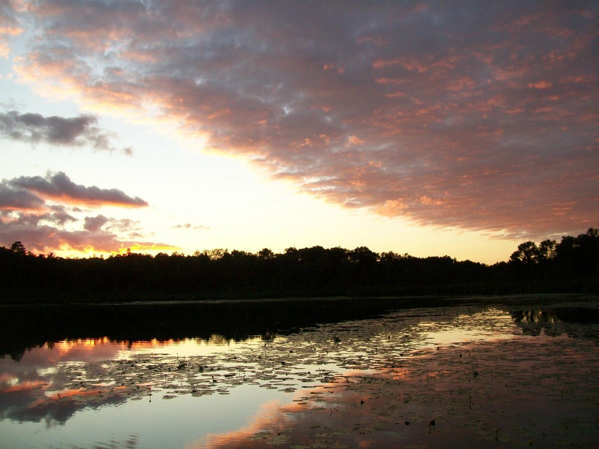 BASHAW LAKE RESORT: Reviews (Shell Lake, WI) - Photos of Campground ...