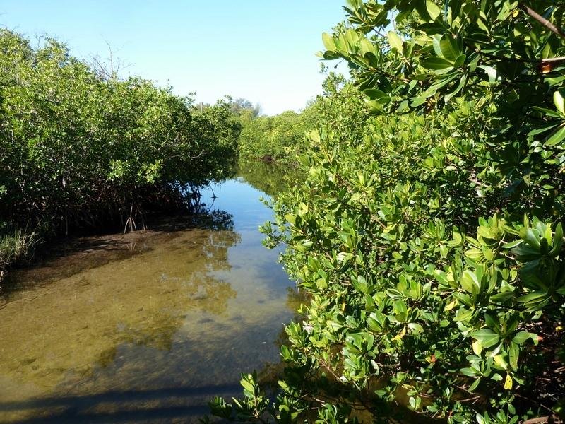 Ten Mile Creek Preserve (Fort Pierce) - All You Need to Know BEFORE You Go