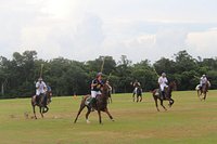 El Rey Polo Country Club (Puerto Morelos) - All You Need to Know BEFORE You  Go