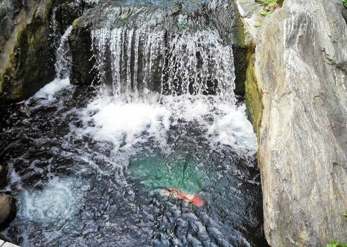 водопадик с рыбками
