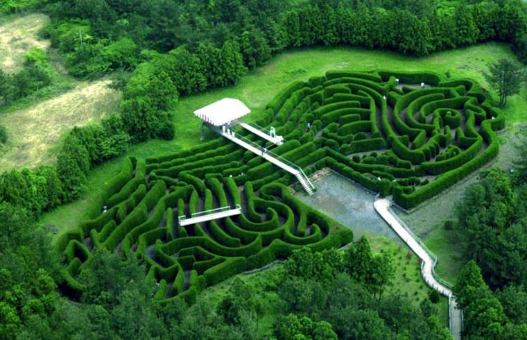 Jeju Kimnyoung Maze Park image