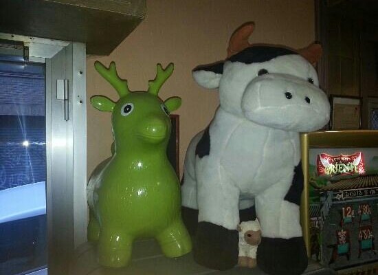 la vaca!