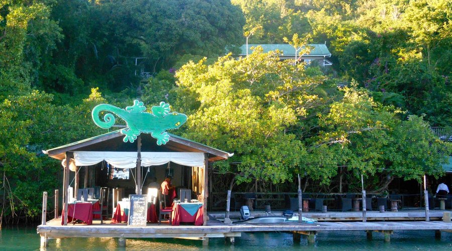 Rainforest Restaurant and Mango Beach Inn