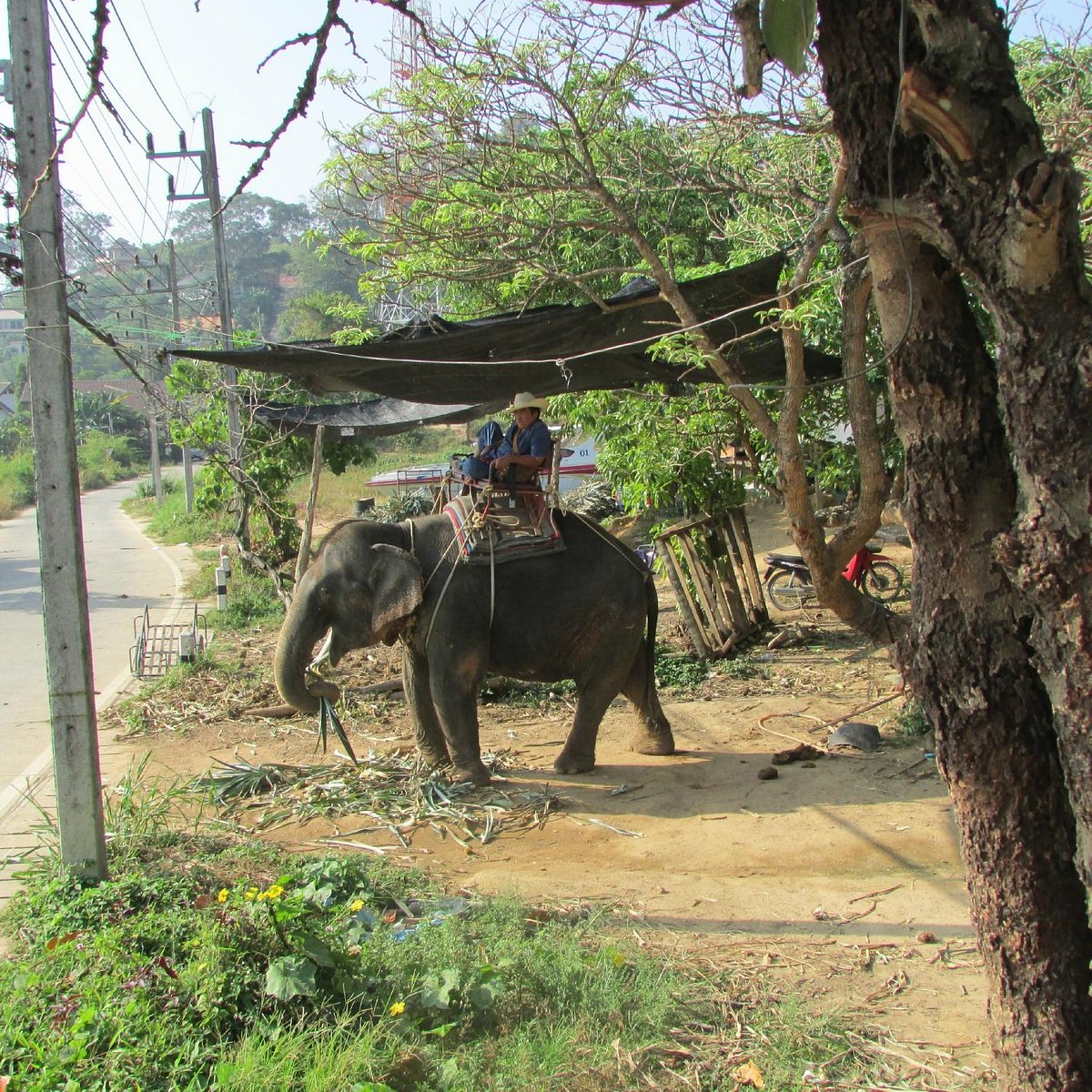 phuchada safari