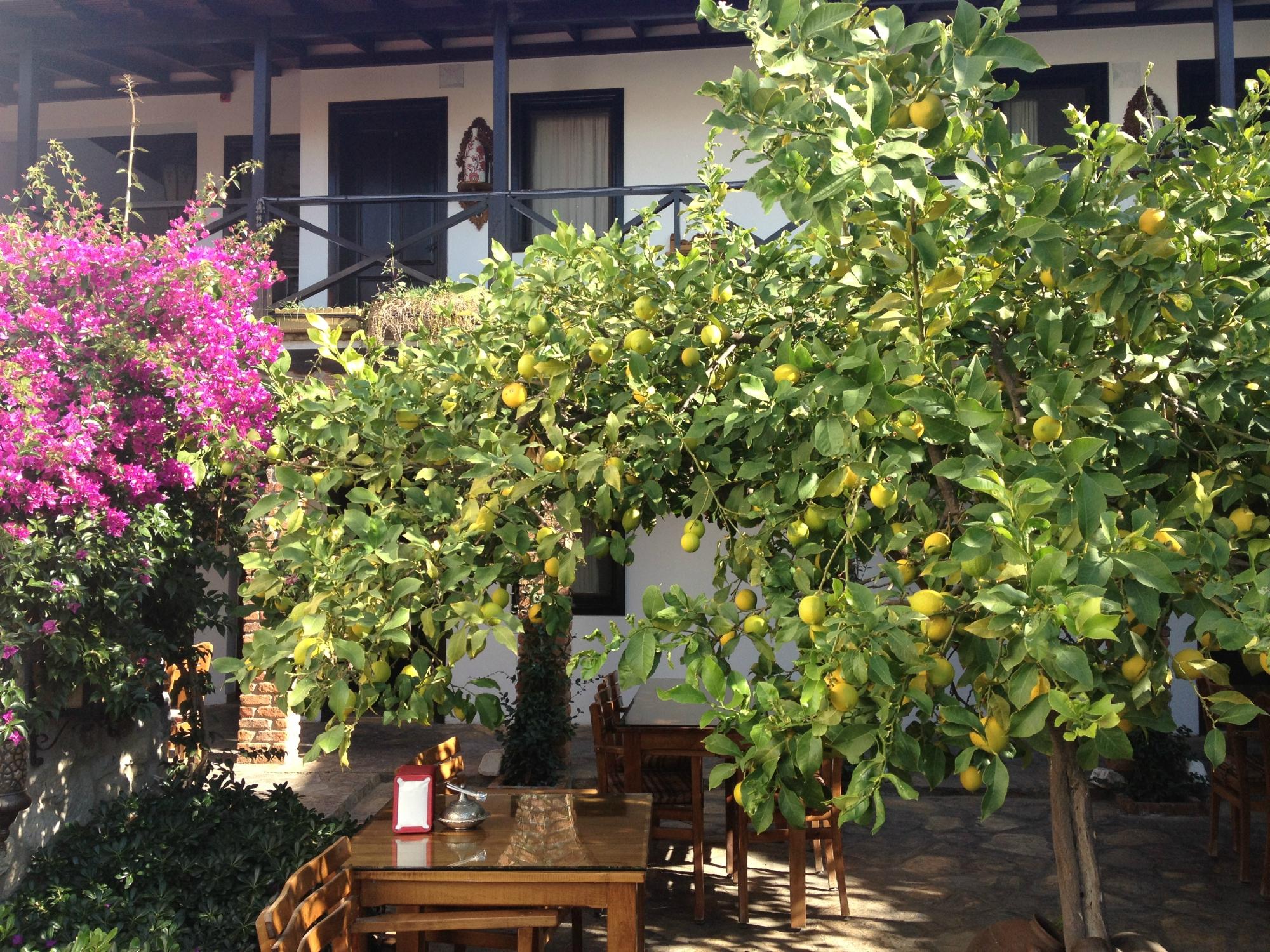Hotel photo 36 of Hotel Nilya.