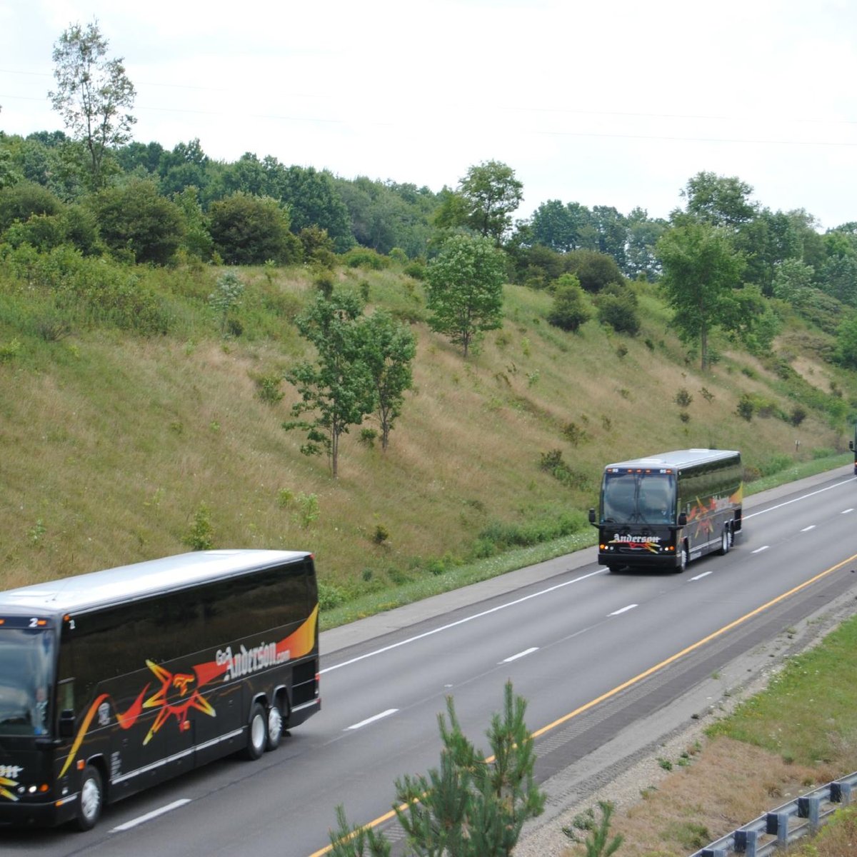 ANDERSON COACH & TRAVEL TOURS (Greenville) 2022 Qué saber antes de ir