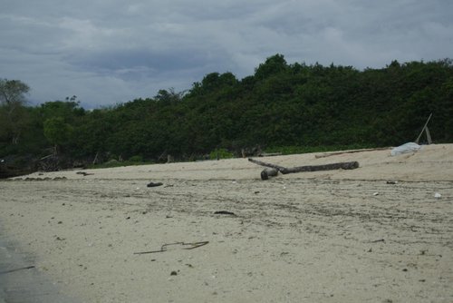 Sulawesi putrivionasari review images