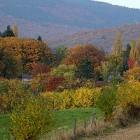 Vista sul parco (Naturpark Hochtaunus)