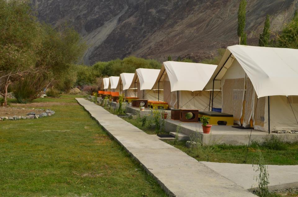 Desert himalaya resort 2025 camp