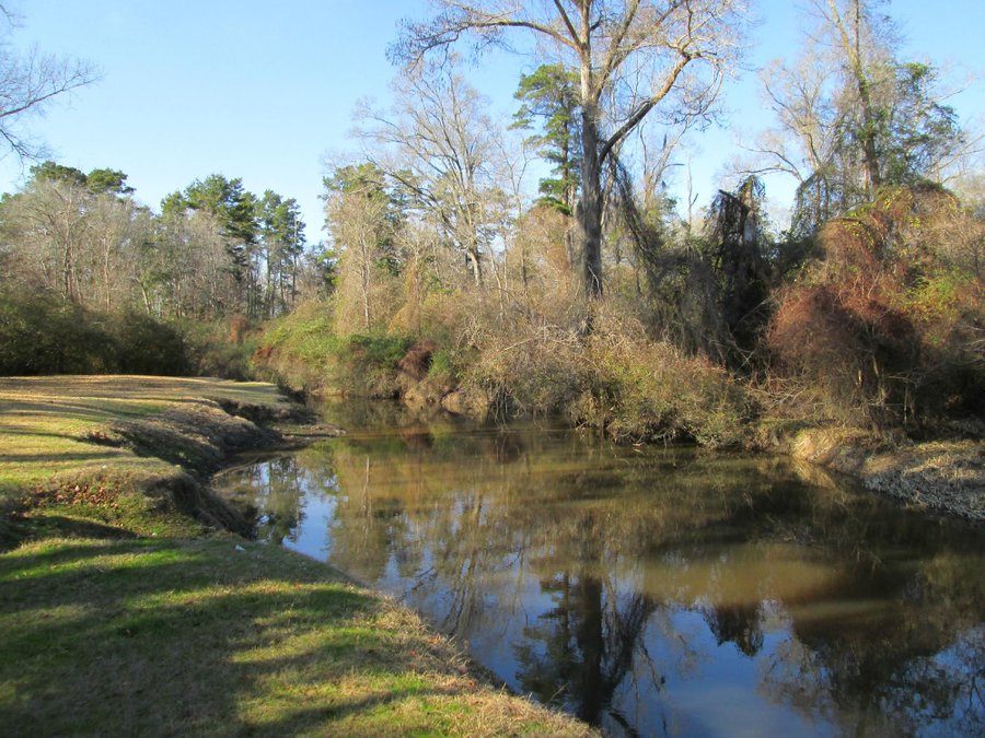 TCHEFUNCTE CAMPGROUND - Reviews (Folsom, LA) - Tripadvisor