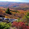 Things To Do in Blue Ridge Mountain Guides, Restaurants in Blue Ridge Mountain Guides