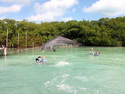 Cayo Guillermo 2023: Best Places to Visit - Tripadvisor